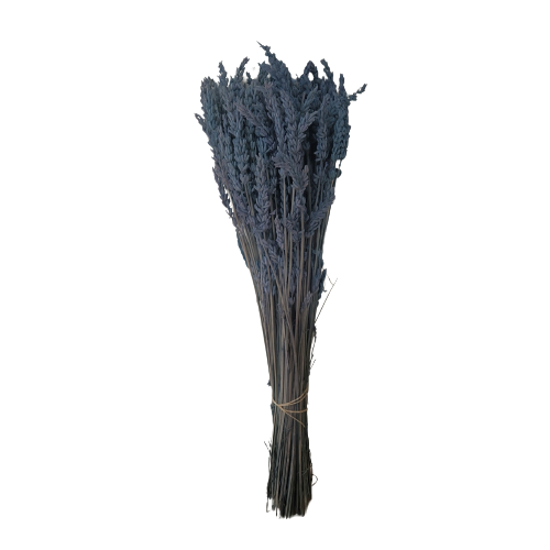 Concari.flores Preservadas - Wholesale Dried/Pressed Flowers - PRESERVED LAVENDER2