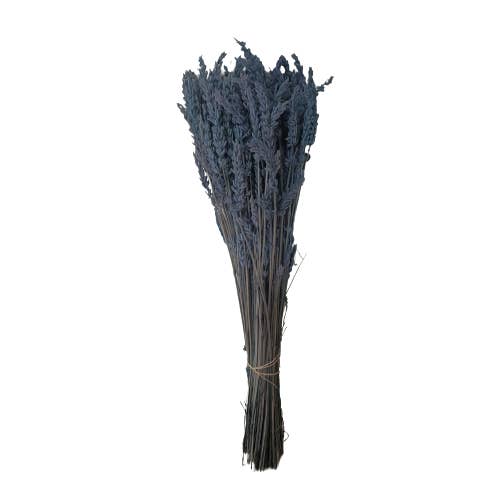 Concari.flores Preservadas - Wholesale Dried/Pressed Flowers - PRESERVED LAVENDER2