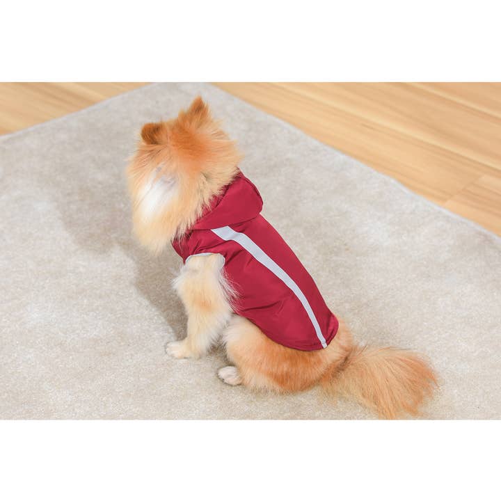 Amomi - Wholesale Pet Sweater - Dog - PET SWEATSHIRT 4 COLORS1