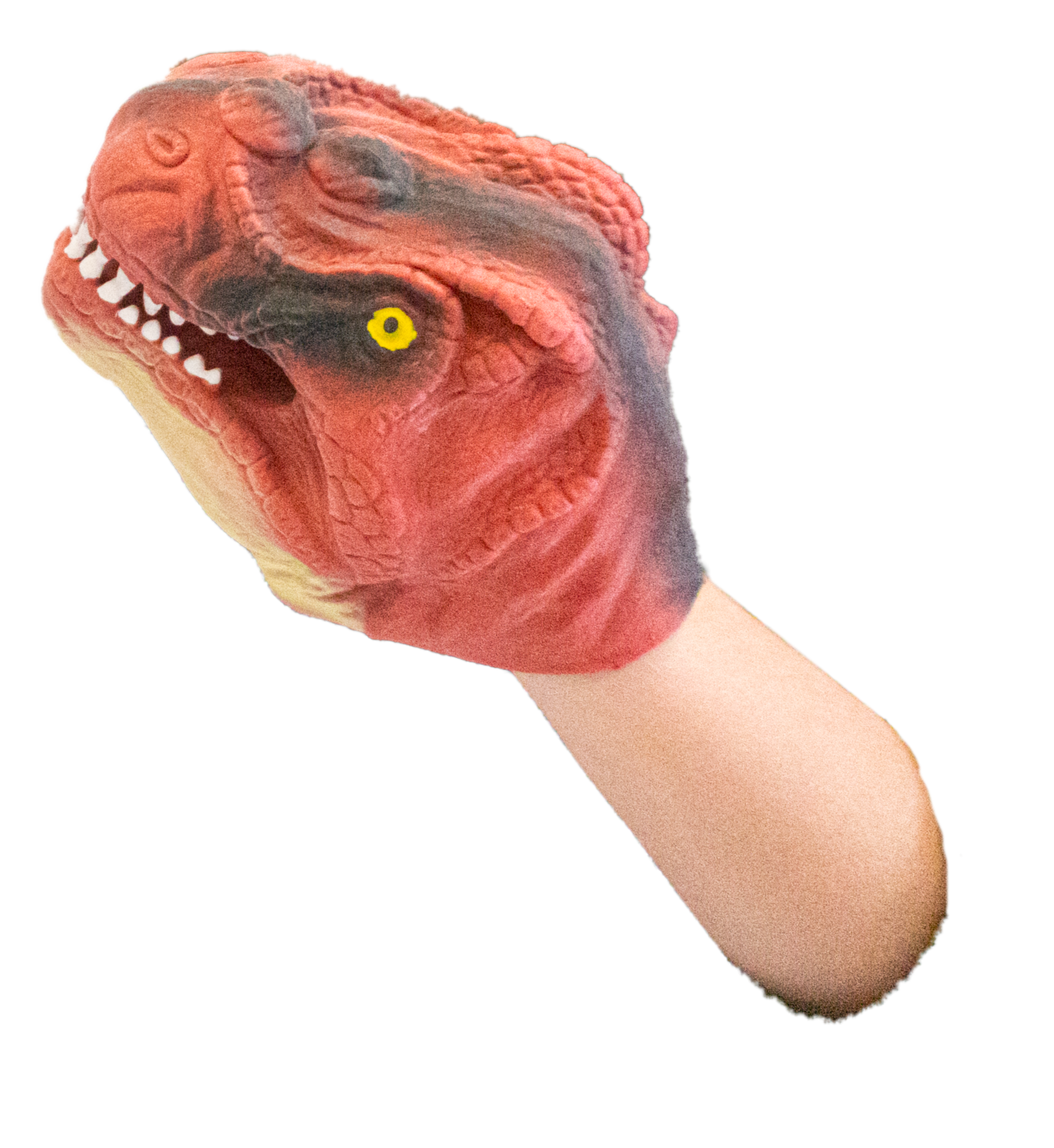 TEDCO Toys - Wholesale Puppet - Kids & Baby - Dinosaur Hand Puppet5