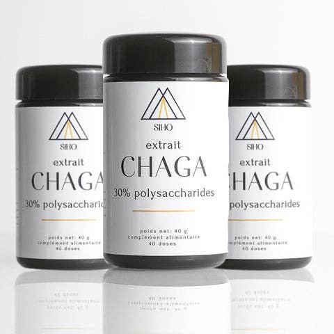 Organic Chaga concentrate for wholesale by SIHO