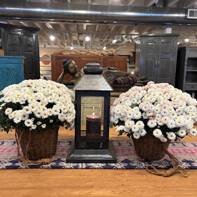 Asia West - Wholesale Lantern - Lantern-Glass & Iron-(16", 20" & 24" high)3