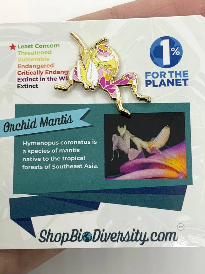 Alfinete de Louva-a-deus Orquídea - Joalharia de Conservação de Insetos Florais por atacado de Shop BioDiversity