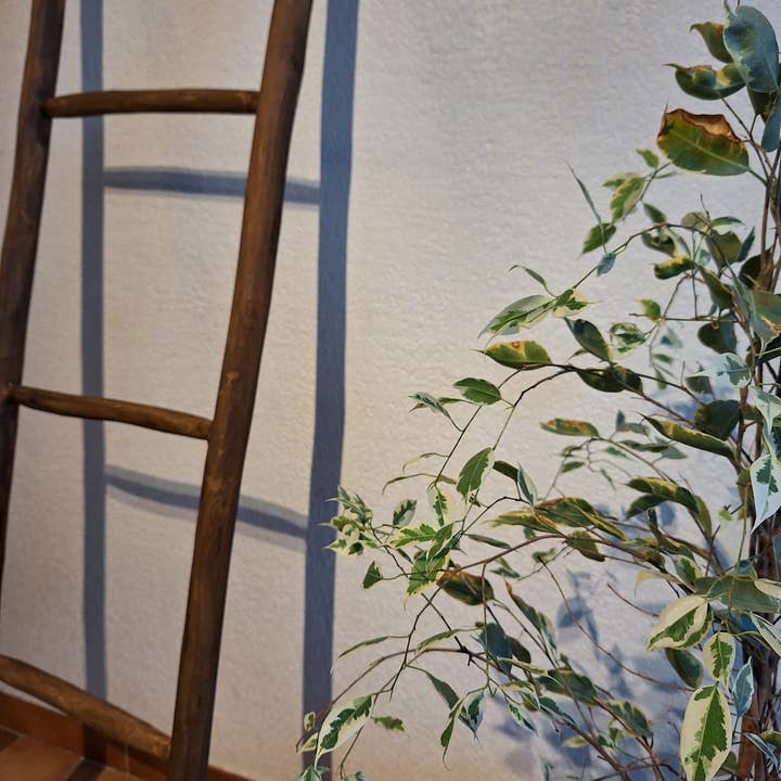 LeBazare – Engroshandel Fritstående hylde – Mørkt træ væghylde – Bohemeånd4