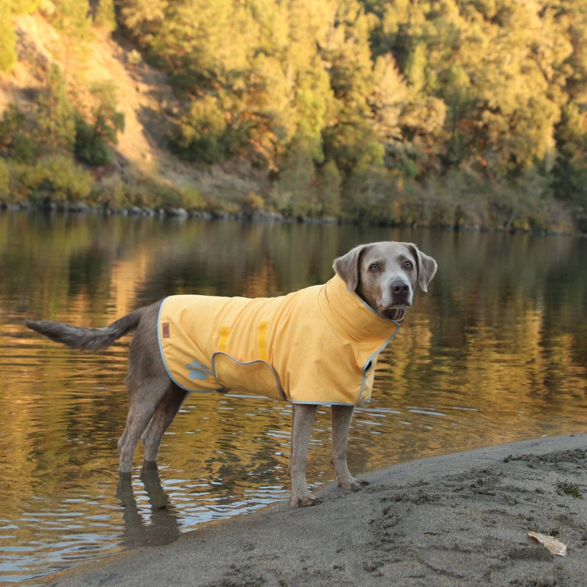 Pouty Paws - Wholesale Pet Towel - Dog - Super Absorbent Lightweight Dog Drying Robe1