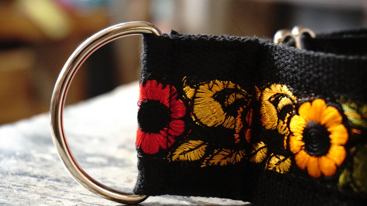 hundsfutter - Wholesale Pet Collar - Dog - Wide collar anti escape design8