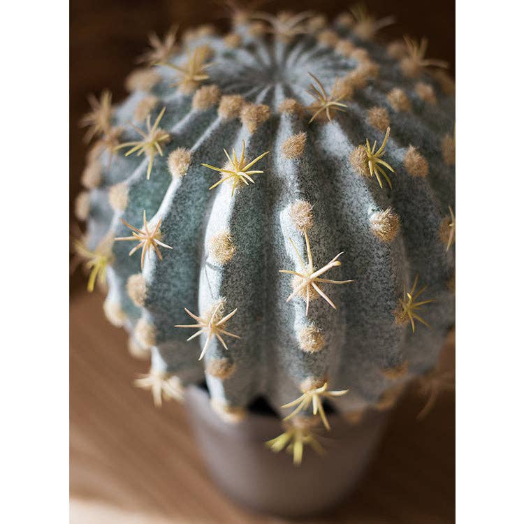 Rustic Reach - Wholesale Artificial Plant - Artificial Potted Cactus Ball1
