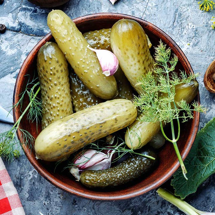 EXOH - Wholesale Lip Balm - Fresh Dill Pickle Lip Balm | Scented, Flavored Lip Balm