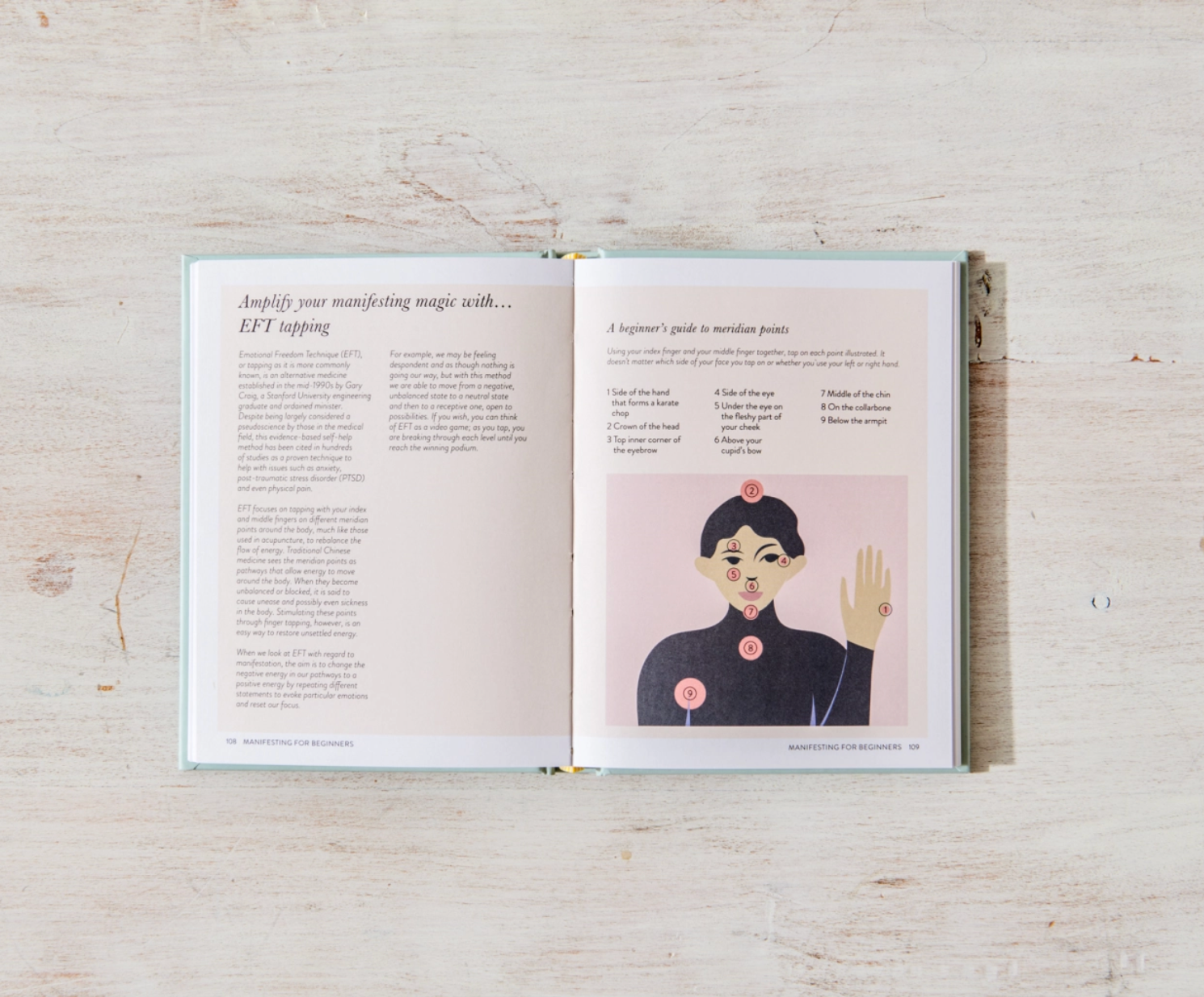 Thought Catalog - Wholesale Self-Help & Personal Development - Manifesting For Beginners - book2