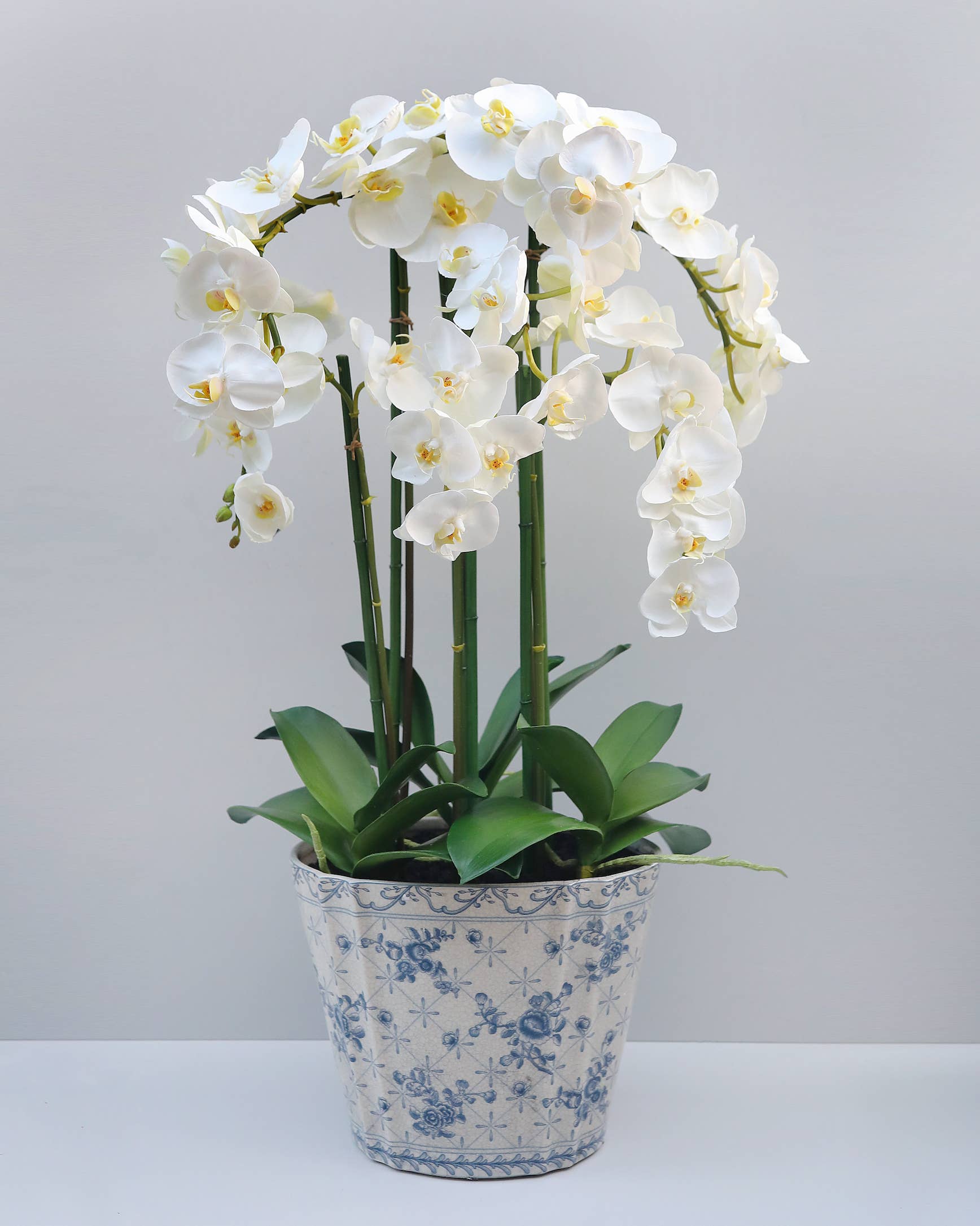 Prestige Botanicals - Wholesale Artificial Flowers - Real Touch Orchid Plant in Vase 29"2