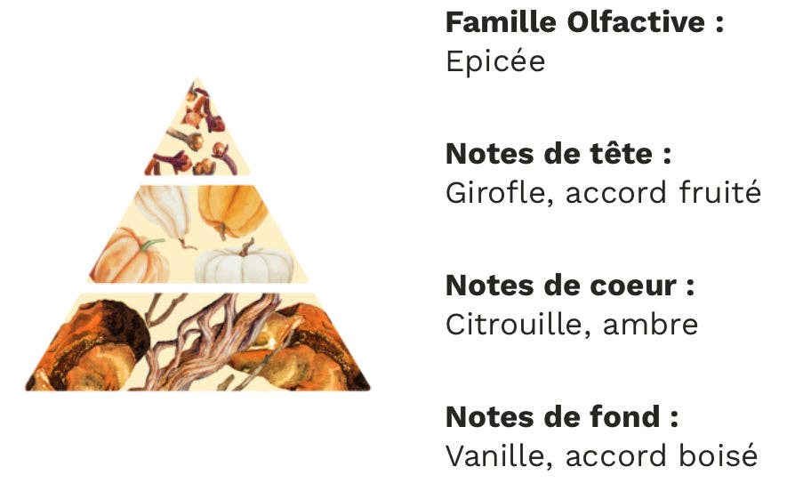 Arhomie – Großhandel Kerze im Glas / gefüllte Kerze – Würzige Herbstsüße1