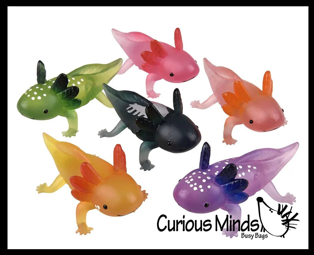 Curious Minds Toys – wholesale Fidget Toy - Barn – 1 påse med 12 realistiska 2,5" färgglada små axolotler-figurer10