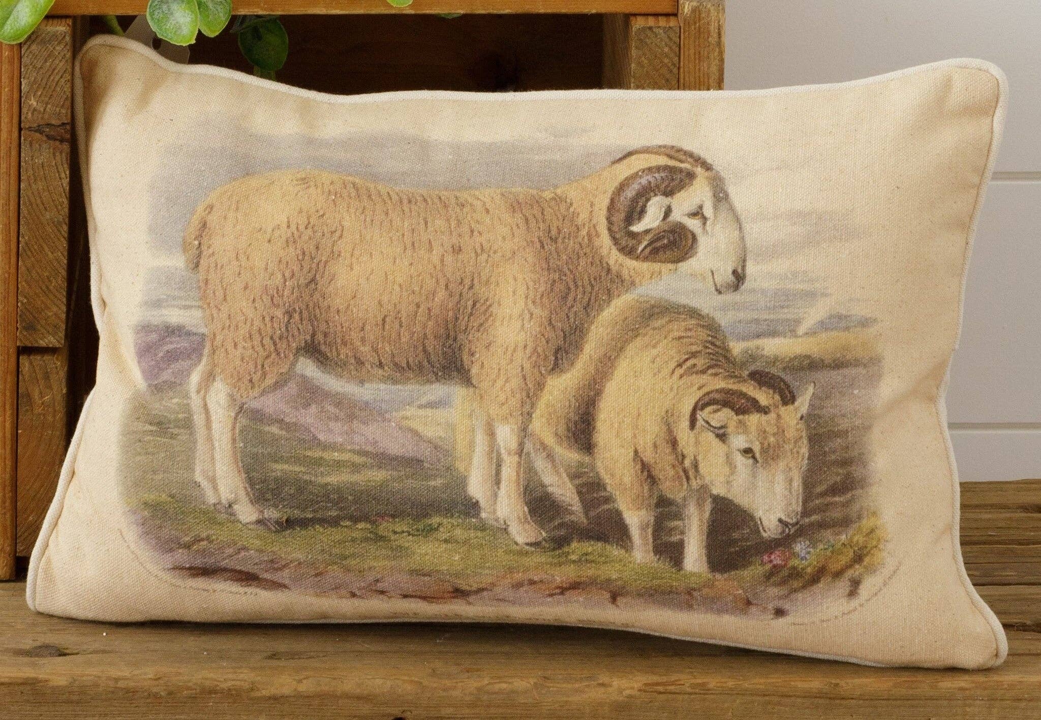 Audrey's Home & Gift - Venta al por mayor Cojín decorativo - Almohada - Vintage Sheep (PC)