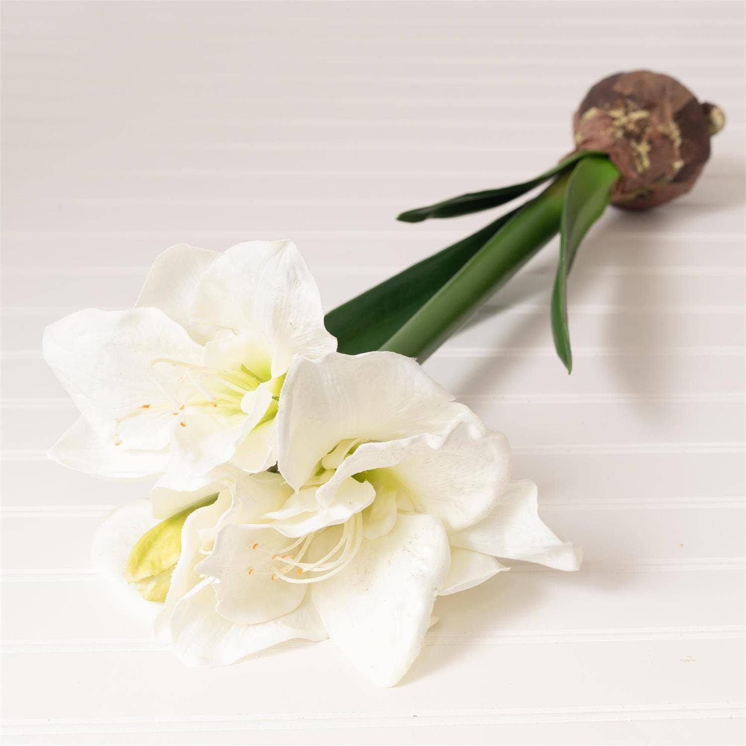 Audrey's Home & Gift - Vendita all'ingrosso Fiori finti - Stelo - Amarillide Bianca Con Bulbo (Conf/04)1