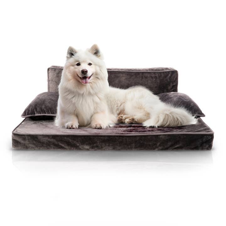 Precious Tails - Wholesale Pet Bed - Dog - Precious Tails Modern Sofa Bed - Medium