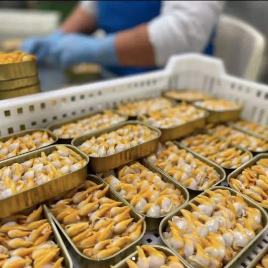 Gourmet World B2B - Wholesale Fish/seafood - Clams Cabo de Peñas 6x120g1