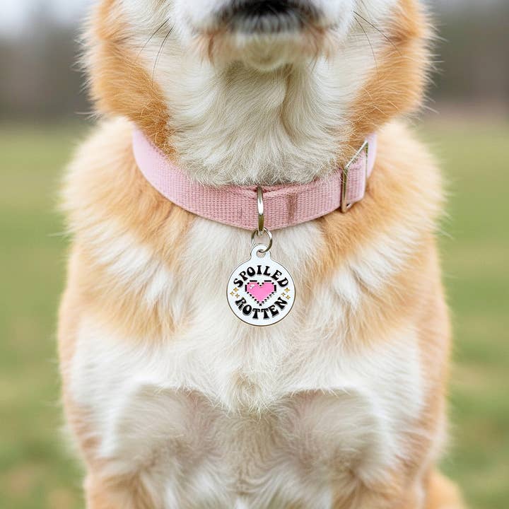 Bad Tags - Wholesale Pet Identification Tag - Cat/Dog - Enamel Dog Tag with Scannable ID - Spoiled Rotten 2