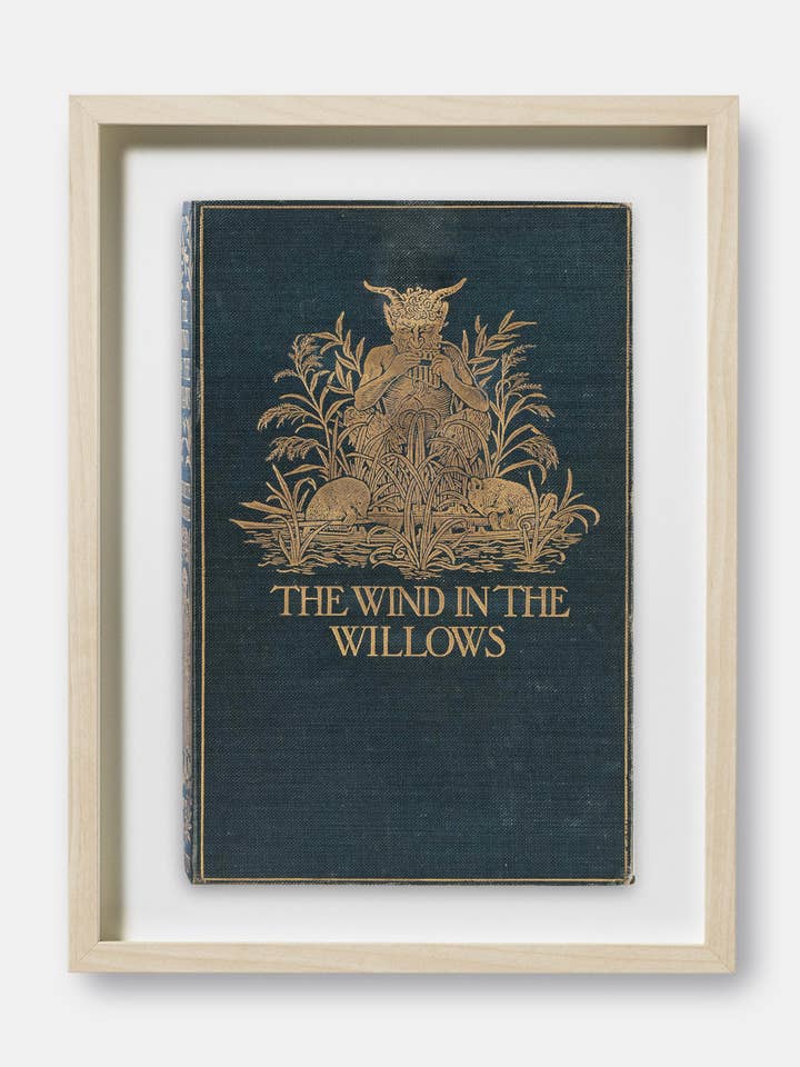 Stampa della copertina del libro Il vento tra i salici per la vendita all'ingrosso da parte di The Curious Desk