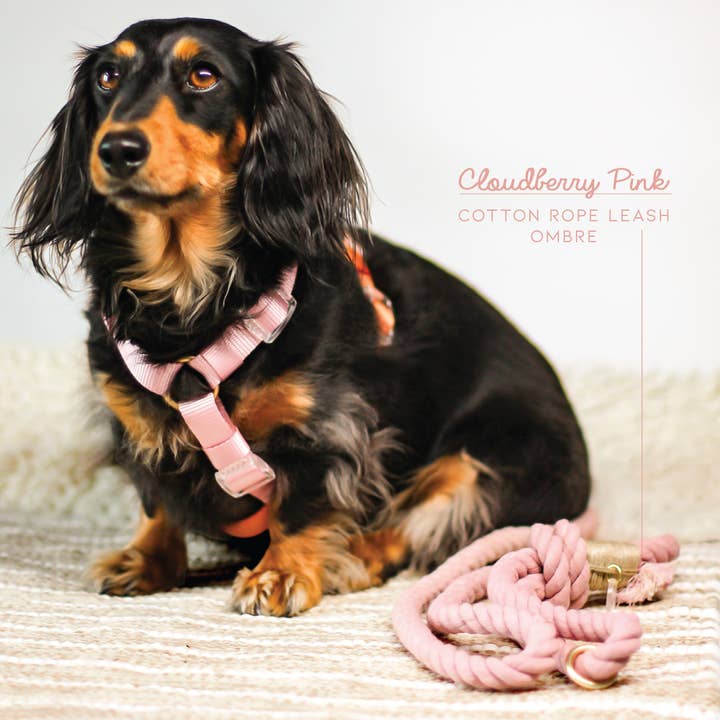 Bop Pop Pets - Wholesale Pet Leash - Dog - Cotton Rope Leash Ombre Pastel | Cloudberry Pink3
