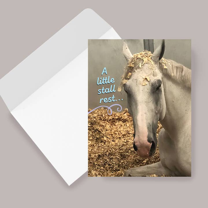 Horse Hollow Press - Wholesale Get Well Card - Horse Get Well Card / A Little Stall Rest... / Funny8