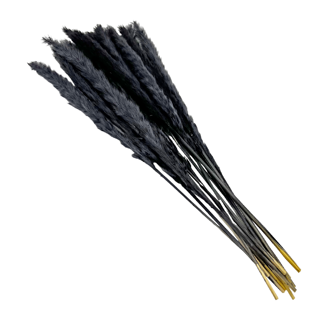 2626 Designs – Engroshandel Tørrede/pressede blomster – Konserverede blomster Lille pampassgræs, 20" langt21