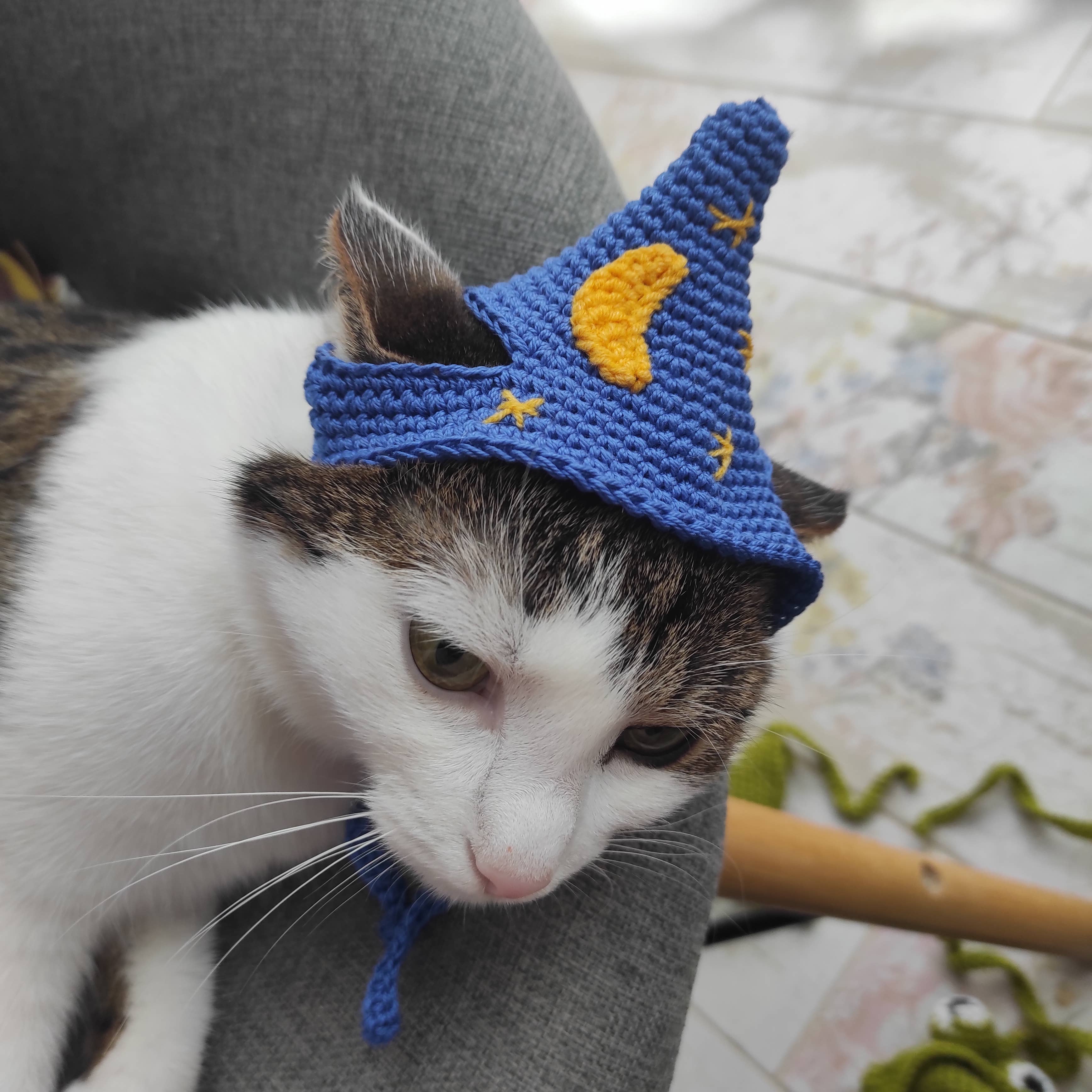 FairyBabyGifts – Engroshandel Kæledyrskostume – Kat – True Wizard kattehue Kæledyr Halloween-kostume Kattefotorekvisitter0