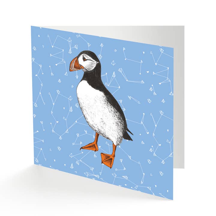 Biglietto d'auguri quadrato Cherith Harrison Atlantic Puffin per la vendita all'ingrosso da parte di Parkwood Springs