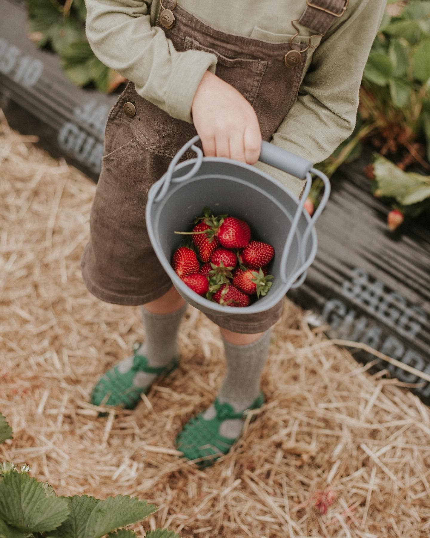 Classical Child - Wholesale Beach/Pool Toy - Kids & Baby - Water & Mud Play Bucket & Toys Set - Blue Bear1