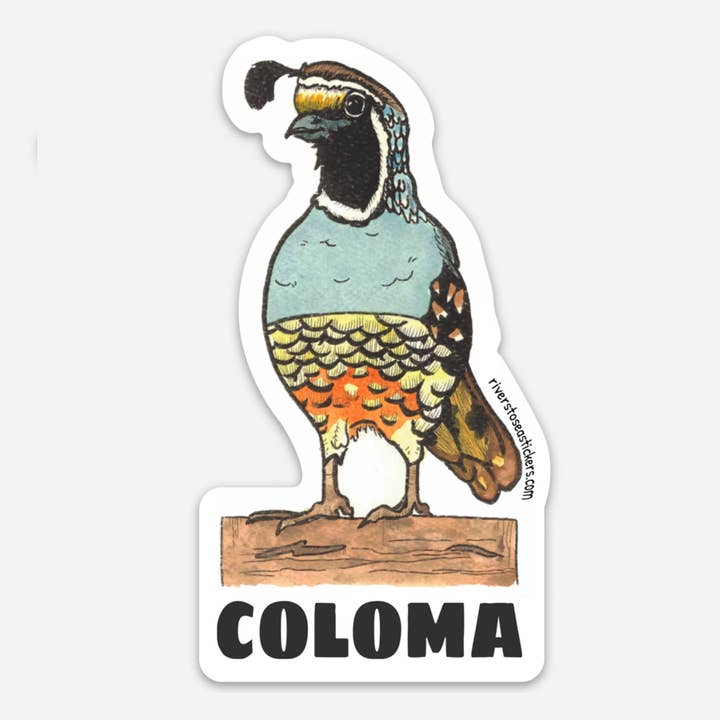 Caille de Coloma pour la vente par Drew Madden Art Stickers