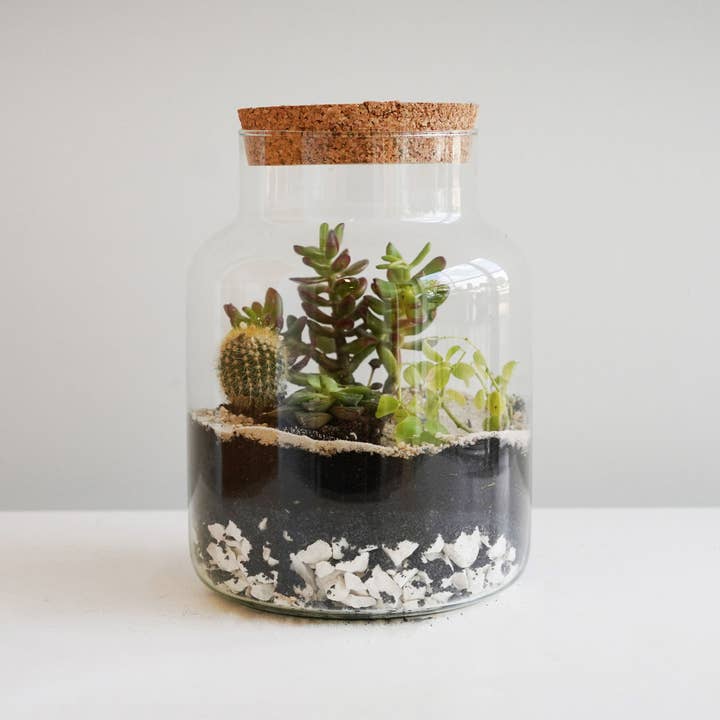 Ivyline - Wholesale Terrarium - Bottle Shape Large Terrarium DIY Kit H26.5cm W19cm