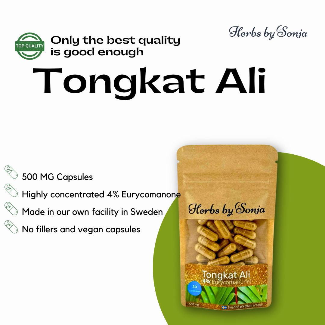 Herbs By Sonja - Natural health supplements - Wholesale Oral Supplement/Vitamin - Tongkat Ali 500mg – Wholesale Strength, Energy & Libido1