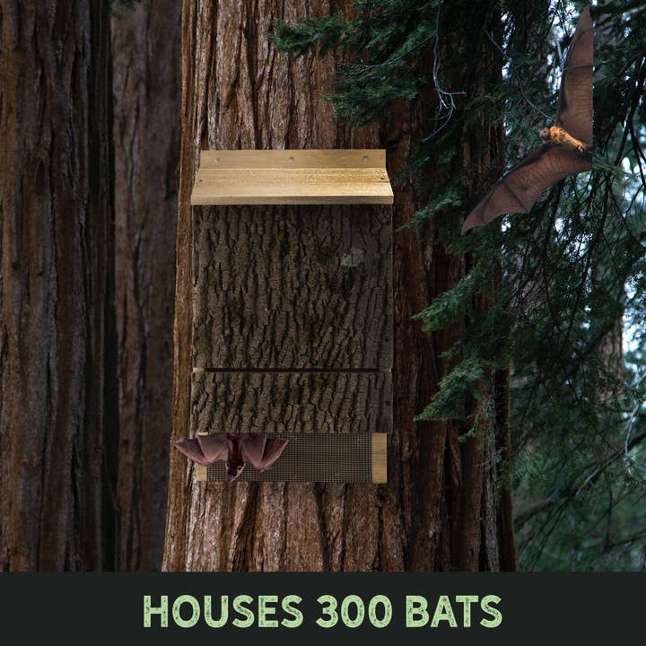 Kurated Korner - Wholesale Bird House - Uncle Dunkle's OBC Endorsed Wooden Bat House