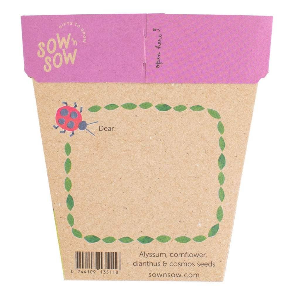 Sow 'n Sow - Wholesale Plant seeds - Enchanted Garden Gift of Seeds (Australia Only)1