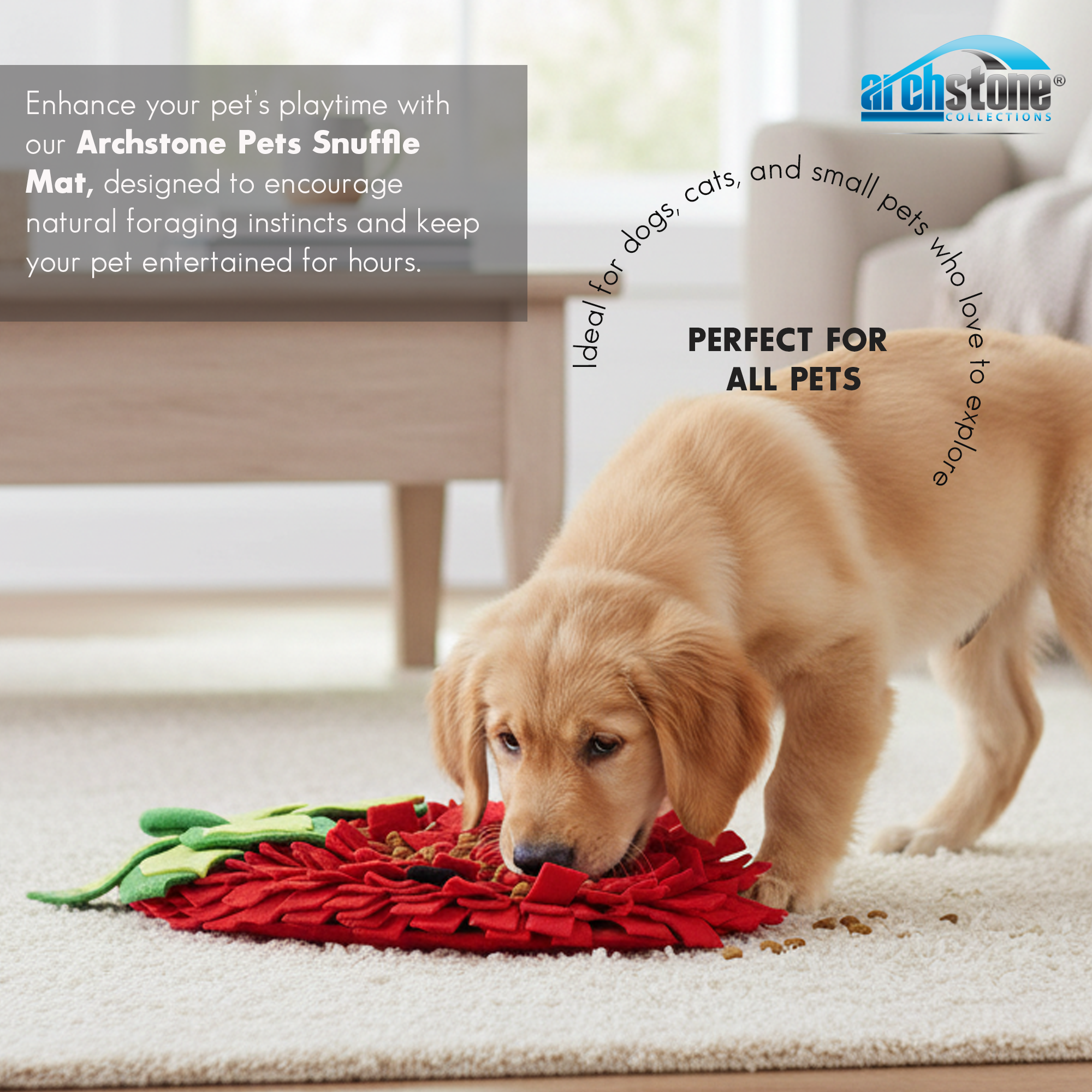 Archstone Collections - Wholesale Pet Food Mat - Dog - Archstone Pet Snuffle Mat - Strawberry, Feeding Training Mat3
