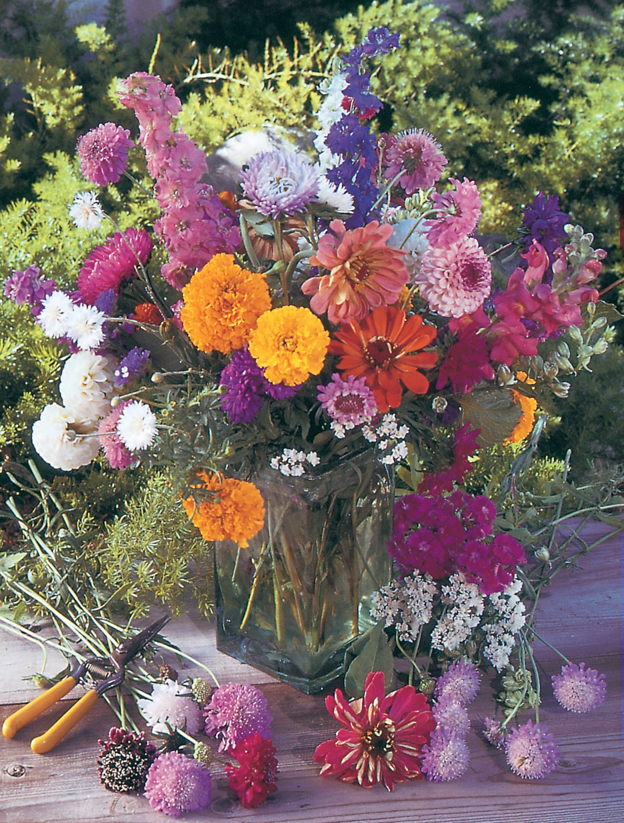 Bentley Seed Co. - Wholesale Plant Seeds - Oh Baby Baby Shower Pink - Bouquet Wildflower Seed Packets10