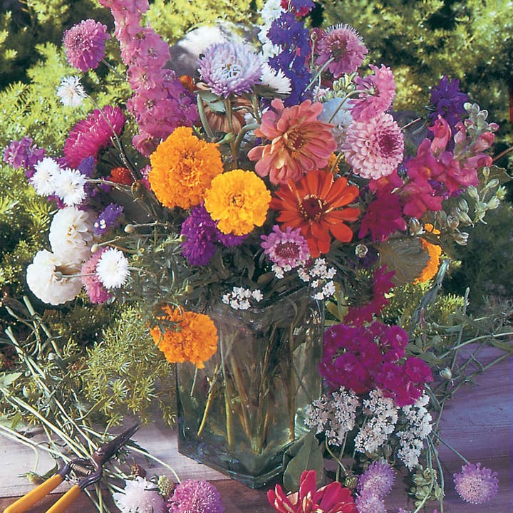 Bentley Seed Co. - Wholesale Plant Seeds - Oh Baby Baby Shower Pink - Bouquet Wildflower Seed Packets10