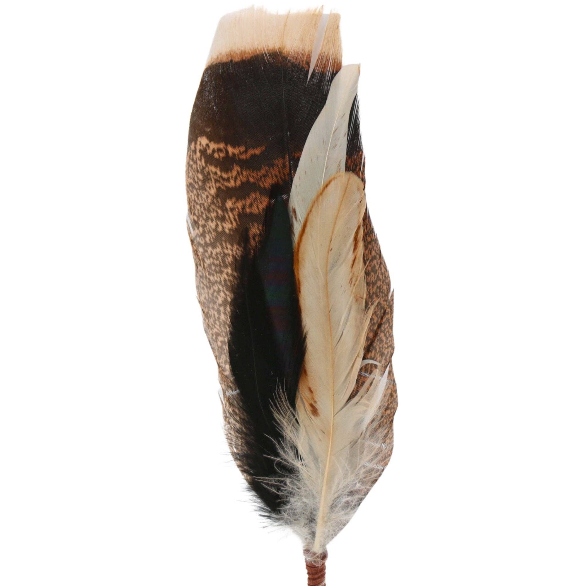 Willow Lane Hat Co. - Wholesale Hat Accessory - Women's - Feather Hat Accent - Chiseler4