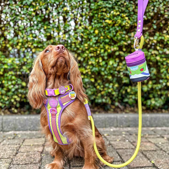 Pawsome Paws - Wholesale Pet Leash - Dog - Disney© 4ft Rope Lead - Buzz Lightyear