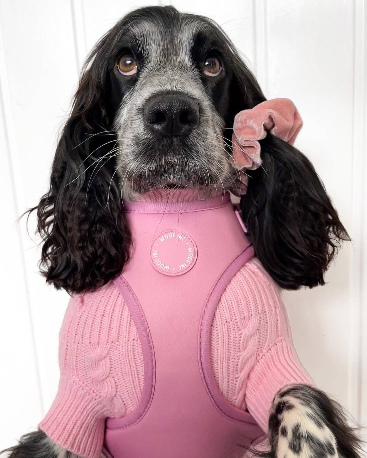 WOOF INC - Wholesale Pet Harness - Dog - Dusty Pink Adjustable Dog Harness2