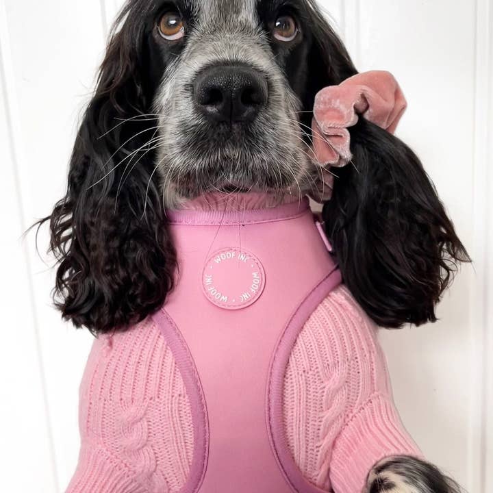 WOOF INC - Wholesale Pet Harness - Dog - Dusty Pink Adjustable Dog Harness2