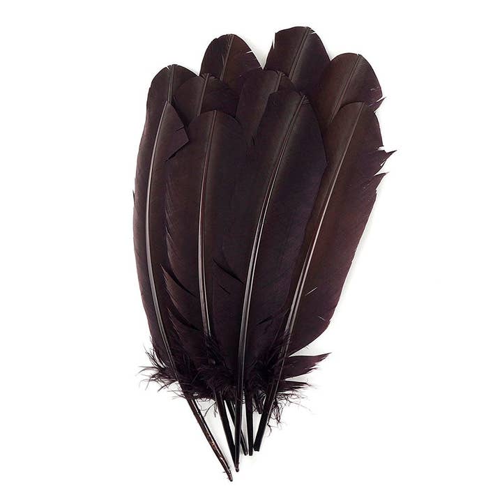 Turkey Quills by Pound - Right Wing - Brown for wholesale by Zucker Feather Products