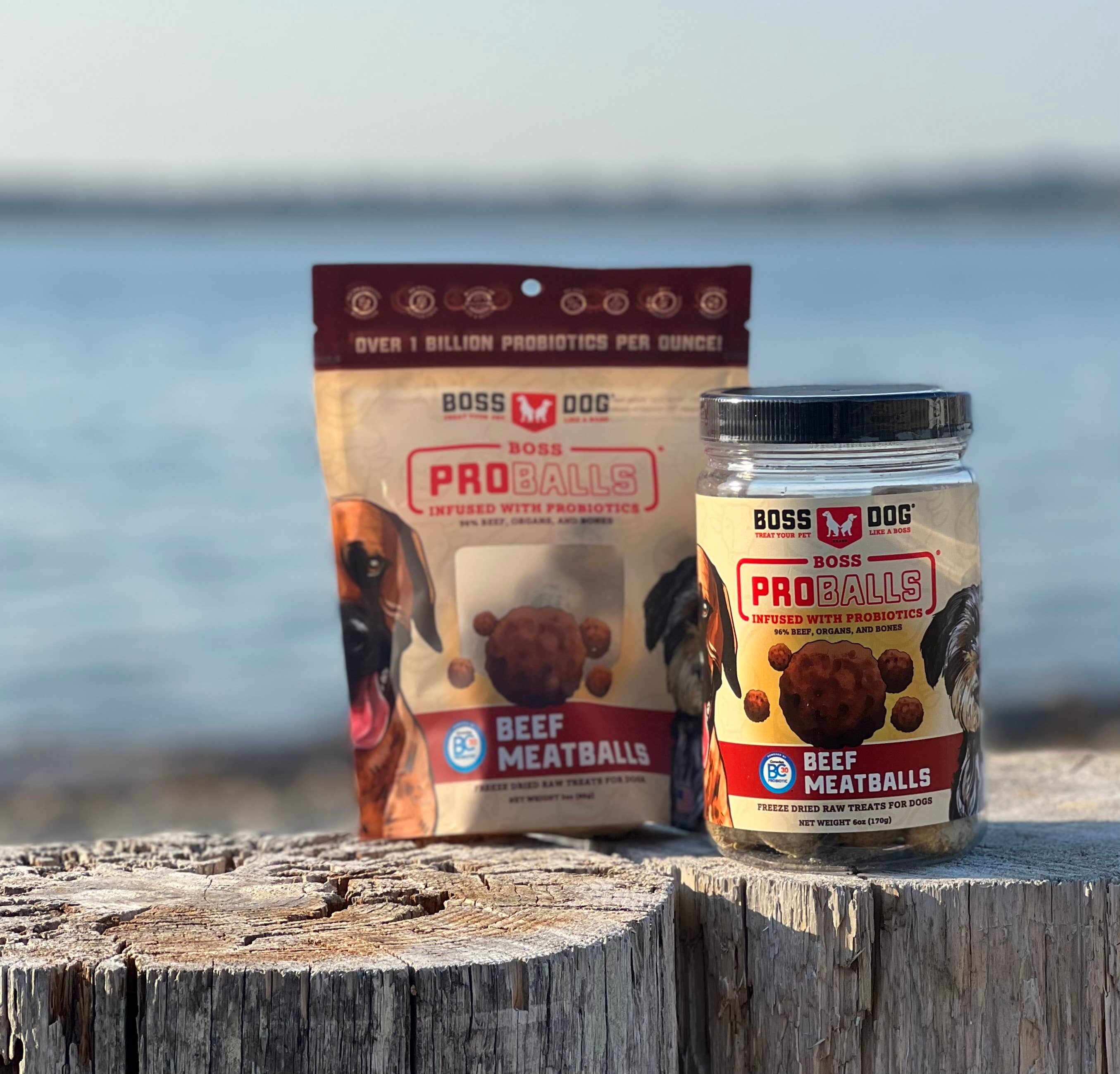 BOSS DOG BRAND, INC. - Wholesale Pet Treats - Dog - Boss Dog Proballs - Beef (6 oz)2