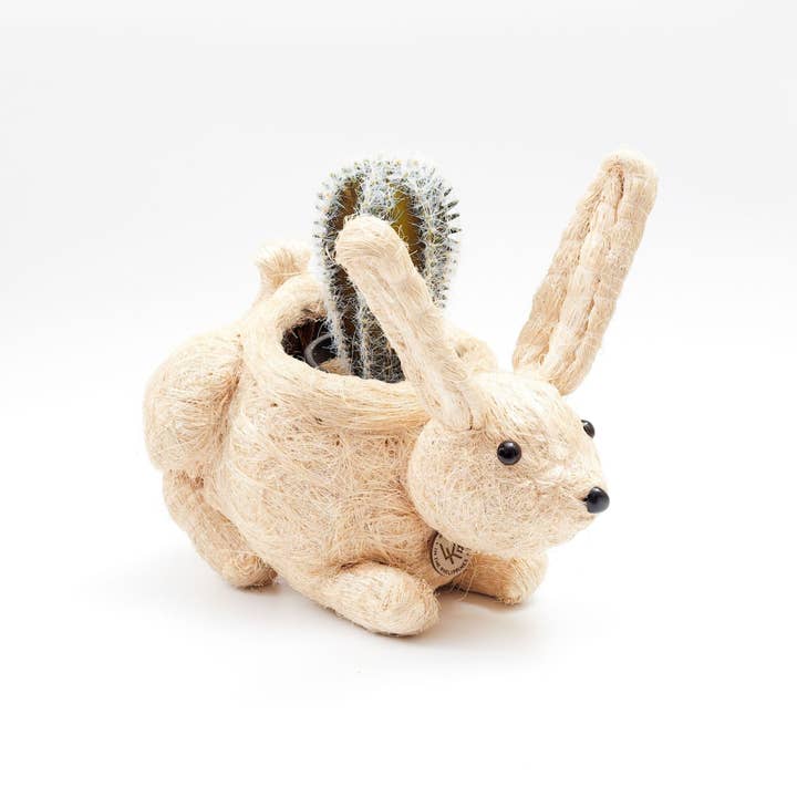 LIKHÂ - Wholesale Plant Pot - Baby Bunny - Coco Coir Pots | LIKHÂ5