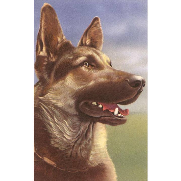 Found Image Press - Wholesale Stationery/Notecard Set - Greeting Card DG-01 German Shepherd Head