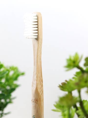 PlaneetBorstel voor wholesale door DentPlanet