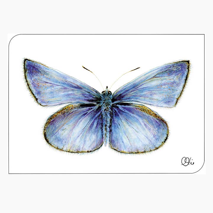 Postkarte - Schmetterling blauer Bläuling - Din A6 für den Großhandel von christine wiegelmann design
