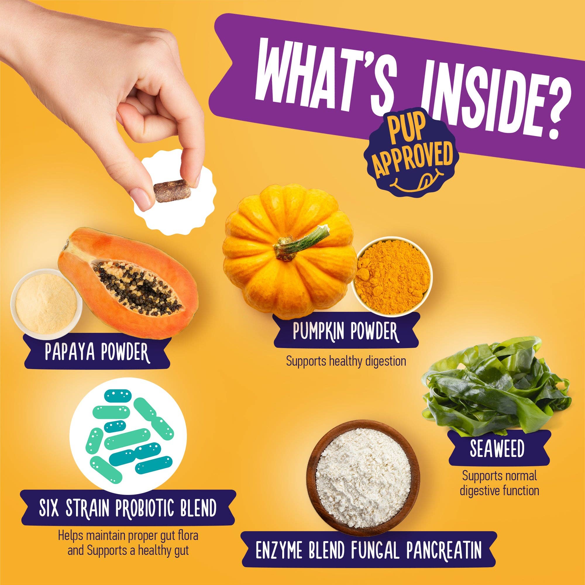 Dogline – wholesale Kosttillskott för husdjur - Hund – Daily Probiotic Blend för hundar 255 g burk (120 tuggor)4