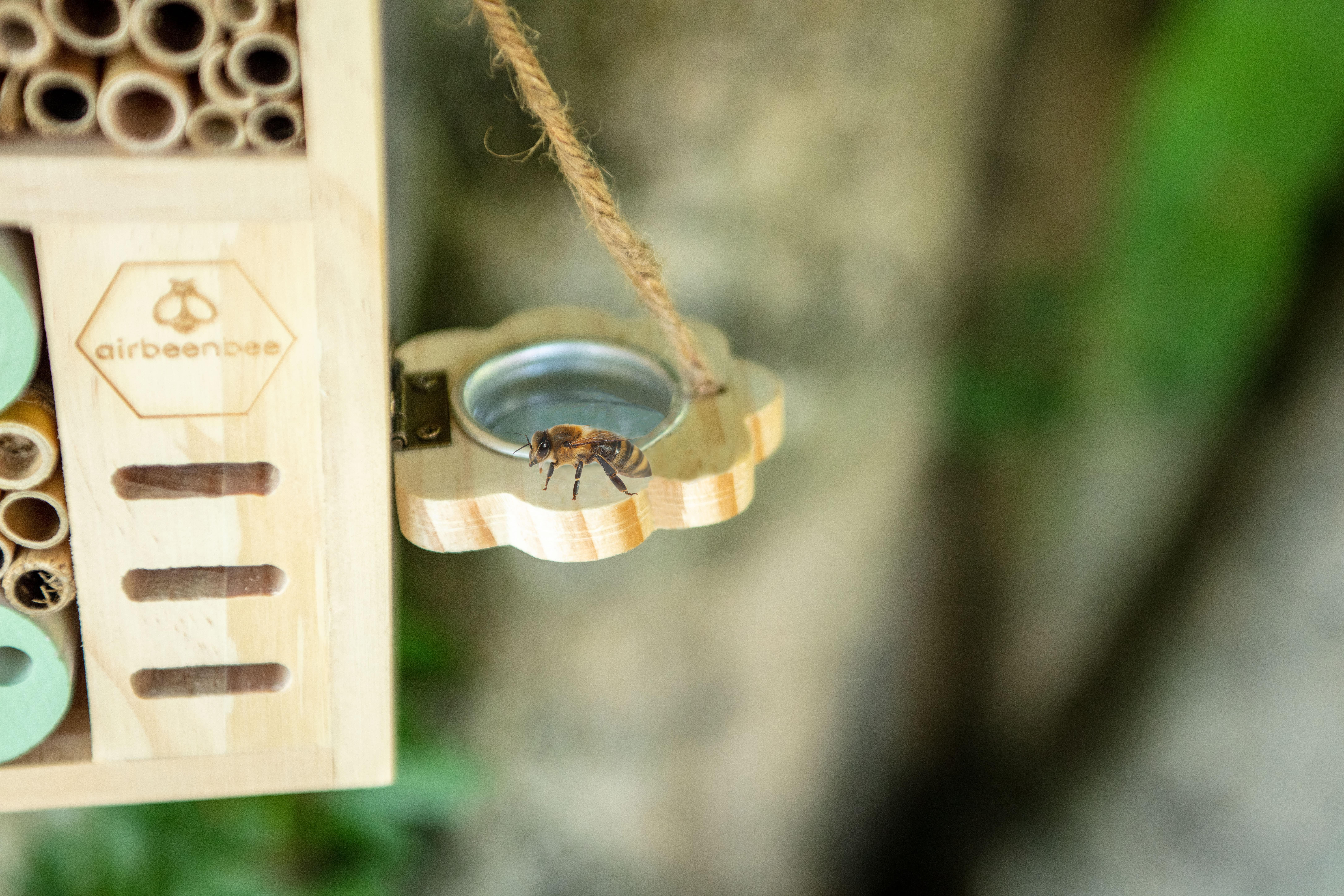 Boxer Gifts EU - Wholesale Bird House - Wildlife house - Air ' Bee'n'Bee Insect House1