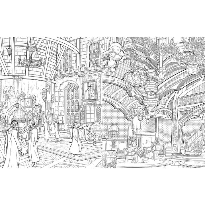 Cardshouse - Wholesale Coloring & Activity Book - Adult - Hogwarts Legacy: The Official Coloring Book Insight Editions1