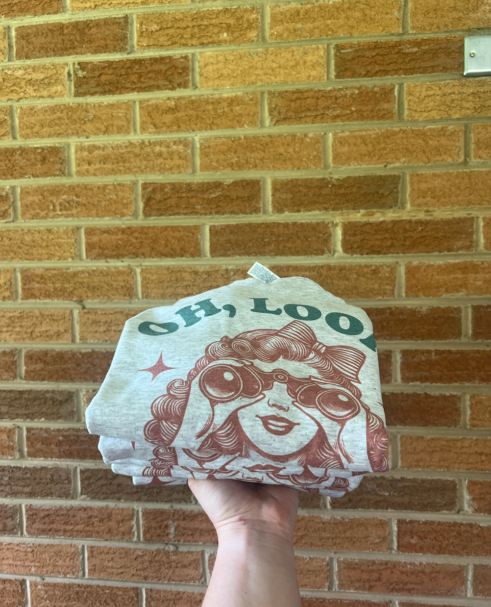 Southern Chic - Wholesale Screen Printed T-Shirt - Women's - Oh Look No One Cares Graphic Tee2